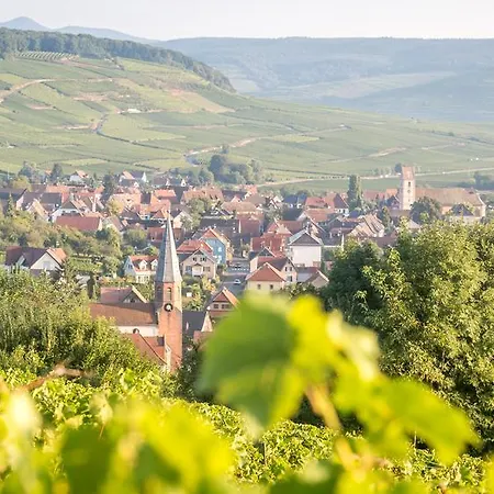 Gîtes&chambes D'hôtes Fugler Appartement